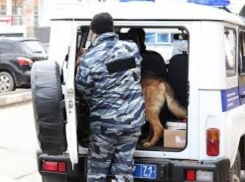 В пассажирском автобусе «Ставрополь-Нальчик» обнаружили подозрительный предмет