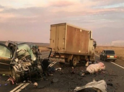 Шесть человек погибли в страшной аварии на Ставрополье