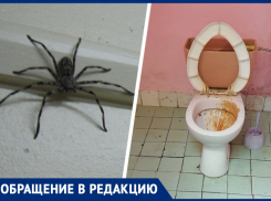 «Загаженные туалеты, пауки и сарай вместо люкса»: обман с туром в Абхазию потряс ставропольчанку