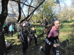 Трофеи из леса: ставропольские «охотники на лис» разыграли призы чемпионата и первенства края 