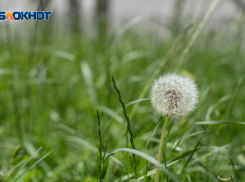 Резкое потепление до +23 градусов придет на Ставрополье в начале недели