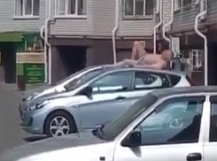 Неизвестный мужчина в одних трусах решил позагорать на машине в одном из дворов в Ставрополе