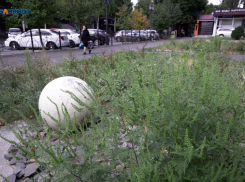 Косить рука устанет: за 19 миллионов приведут в порядок газоны на улицах Ессентуков