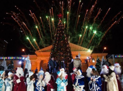 18 новогодних ёлок установят в разных районах Ставрополя