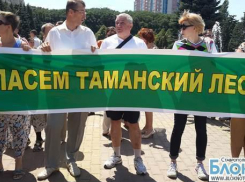 В Ставрополе прошел митинг против вырубки деревьев в Таманском лесу