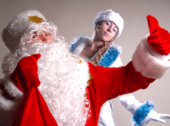 Ставропольские Дед Мороз и Снегурочка устроят новогоднее представление на востоке Украины