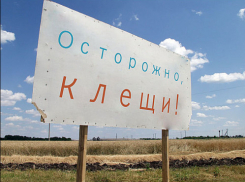Шесть человек заразились крымской геморрагической лихорадкой за последние дни