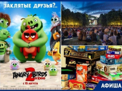 Ночь кино, настольные игры  и премьера «Angry Birds»: ставропольчан ждет насыщенная неделя