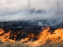 Высокая пожароопасность ожидается 7 июля в Ставропольском крае