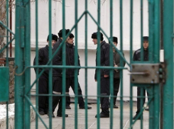 Досрочно освободить сбившего насмерть человека пьяного водителя отказались власти Ставрополья