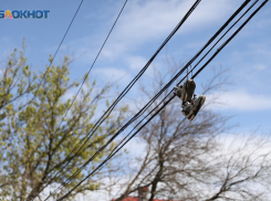 Туман утром и 19 градусов тепла днем пообещали синоптики Ставрополью 8 ноября