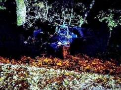 В Пятигорске автомобиль вылетел с дороги на горе Машук