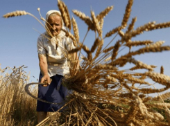 На Ставрополье прибавку к пенсии получат 28 тысяч сельских пенсионеров