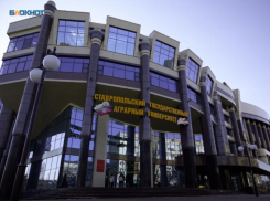 Мало направлений, но много активностей предлагает студентам Аграрный университет в Ставрополе