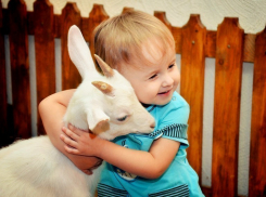 Ставропольцы смогут бесплатно посетить городские контактные зоопарки