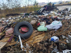 Свалку рядом с могилами обнаружили жители Ставрополя