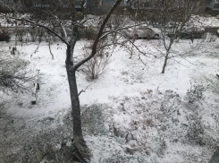 Безветренная и пасмурная погода ждет ставропольцев в воскресный день 