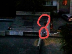 Прогулка матери с детьми на крыше гаража вызвала негодование жителей Ставрополя