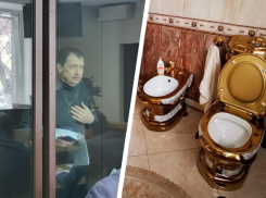 История с золотыми унитазами подошла к концу: оглашен приговор экс-главе УГИБДД по Ставрополью Сафонову