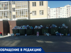 Мусорные контейнеры в одном из дворов Ставрополя стоят с нарушениями санитарных норм 