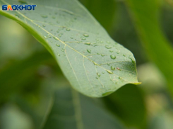 Температурный разгон от +2 до +19 градусов грядет на Ставрополье в начале рабочей недели 