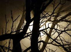 Известна погода в Ставрополе и крае на 15 ноября: густой туман и до +13 днем