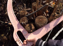 Соседские деревья для строительства дороги к своему участку уничтожил кисловодчанин