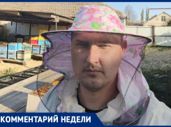 Убийственная зона. Пчеловод предупредил о возможном дефиците меда на Ставрополье