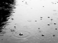 Моросящий дождь и слабый ветер ожидаются в пятницу на Ставрополье