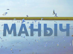 Видео, снятое на озере Маныч с высоты птичьего полёта, стало популярным в Интернете