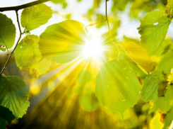 Понедельник порадует ставропольцев теплом