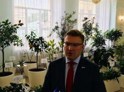 Ставропольской экономике не хватает «морковок»