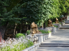  Легкий, солнечный и летний день ждет ставропольчан во вторник