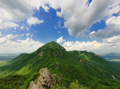 «Бештаугорское лесничество» без разрешения пользовалось госпомещениями на Ставрополье