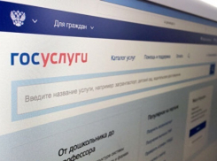 На портале госуслуг доступны новые цифровые сервисы для избирателей