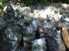 80 мешков мусора с загаженной алкашами поляны вынесли волонтеры в Таманском лесу Ставрополя