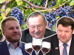 «Пьем!»: депутаты Ставрополья поддержали местных виноделов