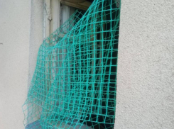 Зоопарк в домашних условиях: в Минеральных Водах женщина поселила стаю животных в своей квартире 