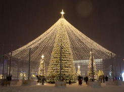Покупка рекордно дорогой новогодней елки в Ставрополе вновь оказалась под угрозой срыва