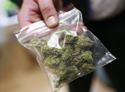 Житель Ставрополья отмечал женский праздник марихуаной