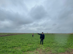 Овощная афера на 9,3 миллиона окончилась для ставропольского агрария реальным сроком