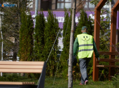 И 100 тысяч не прельщают: пять самых дефицитных профессий назвали на Ставрополье