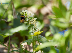 Резкое потепление до +17 ожидается на Ставрополье в середине недели 