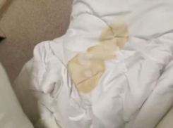 Минобр Ставрополья прокомментировал конфликт с белгородскими детьми в лагере