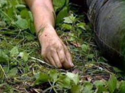 Один мужчина был убит и один ранен в жестокой драке четырех пастухов из-за спора о пастбище на Ставрополье