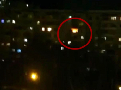 В охваченной пожаром квартире в Ставрополе погиб кот 