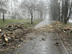 Около 1,2 тысячи абонентов остались без света в Ставрополе из-за буйства стихии