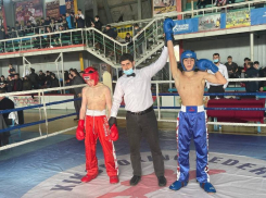 Ставропольские кикбоксеры привезли трофеи с берегов Дона, дзюдоисты — с берегов  Невы 