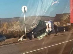 Из-за столкновения двух легковушек на трассе рядом селом Надежда образовалась большая пробка