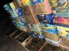 Более 1,5 тонны нелегальных раков не дошли до рынка на Ставрополье